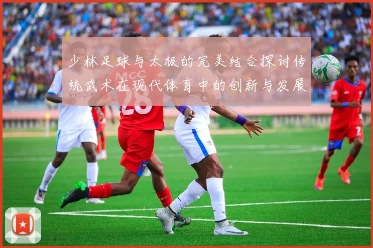 少林足球与太极的完美结合探讨传统武术在现代体育中的创新与发展
