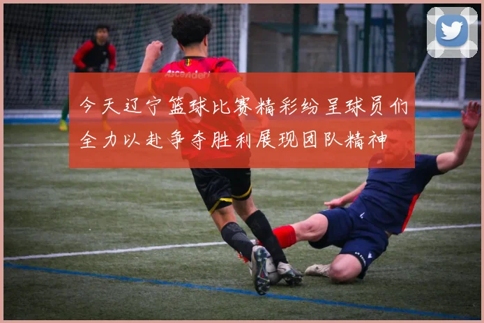 今天辽宁篮球比赛精彩纷呈球员们全力以赴争夺胜利展现团队精神