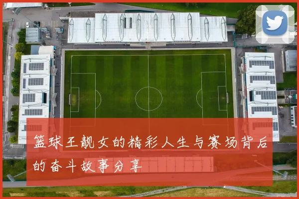 篮球王靓女的精彩人生与赛场背后的奋斗故事分享