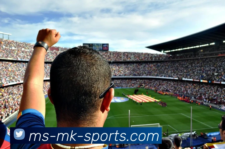 App Interface Preview